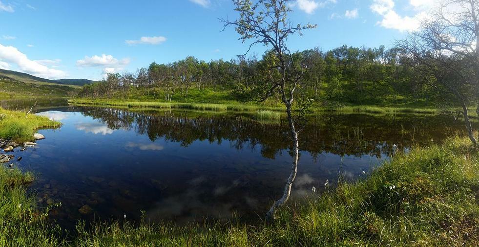 Mikkelvik Brygge Villa Mikkelvika Екстериор снимка